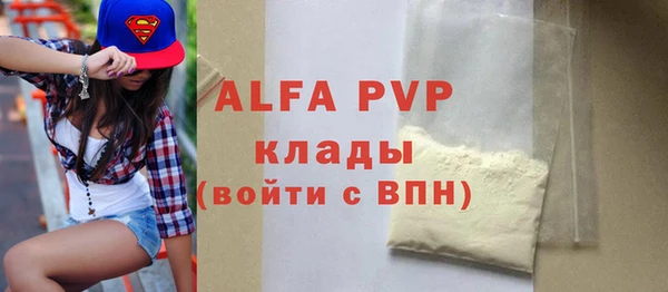 шишки Арсеньев