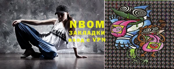 шишки Арсеньев