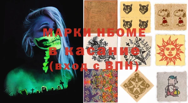 шишки Арсеньев
