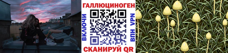 Галлюциногенные грибы MAGIC MUSHROOMS  где можно купить   Юрьевец 
